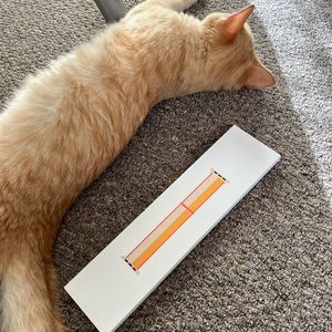 Apple Watch band original